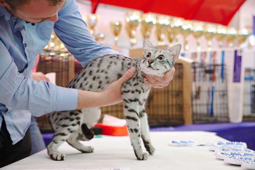 Don't touch me - Не трогай меня