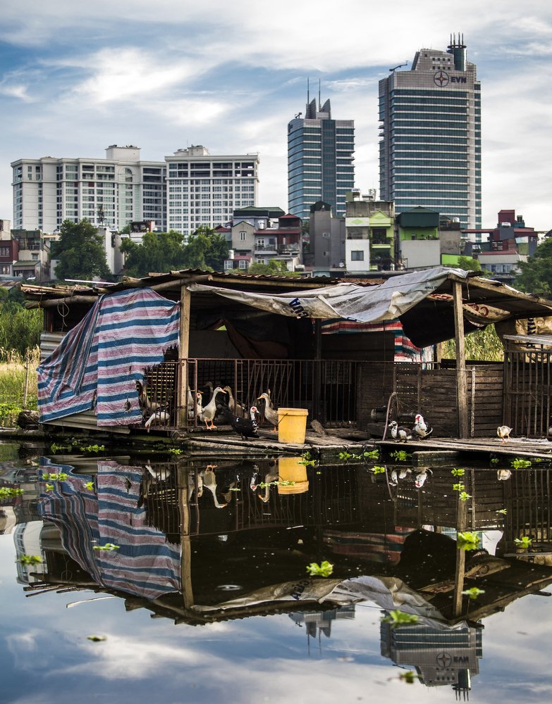 Apartment building of the geese