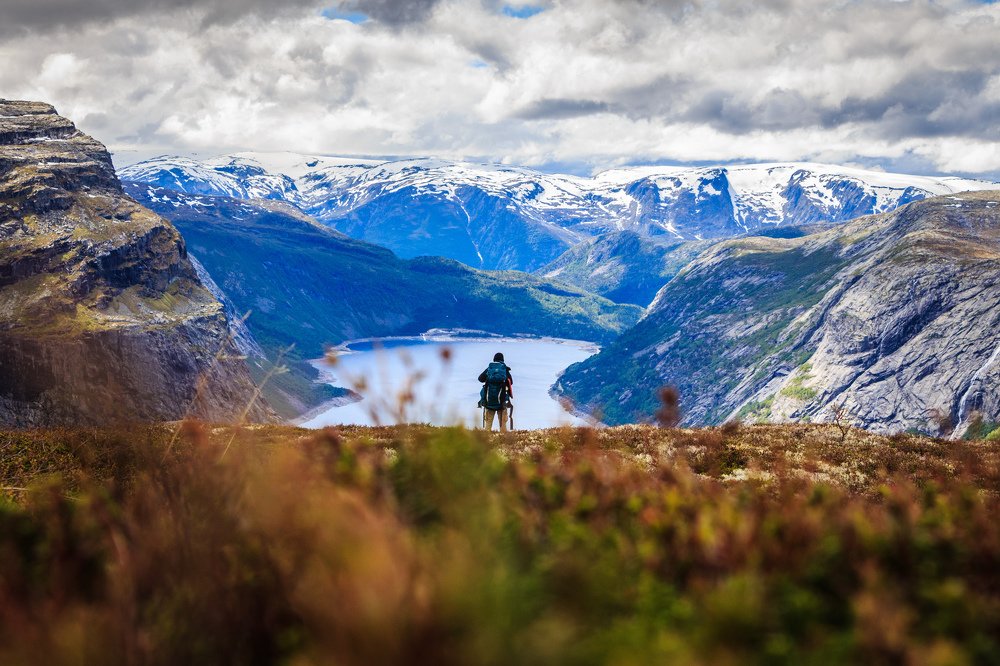 Путешественник