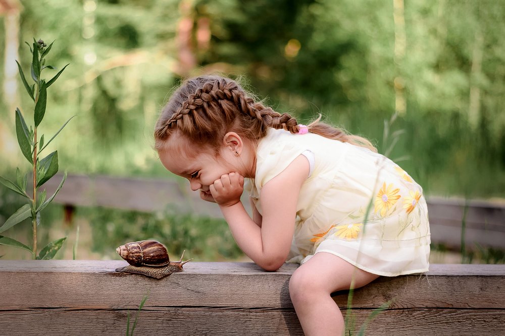 Улитка улитка высуни рожки