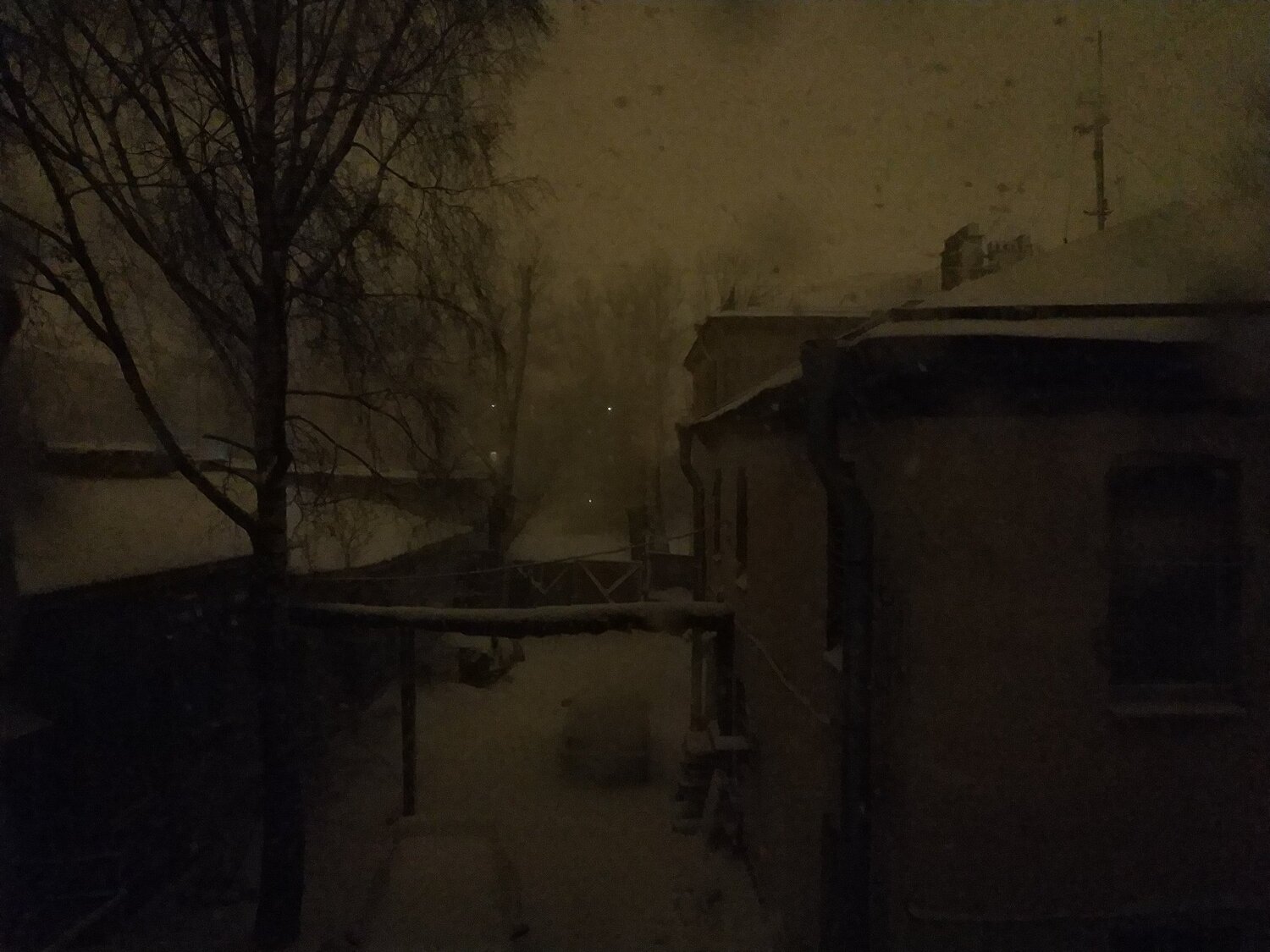 The mist