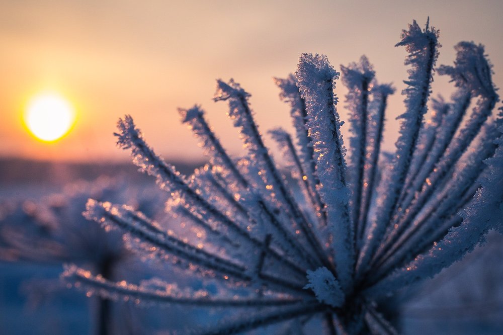 Photograph by Алексей Худяков