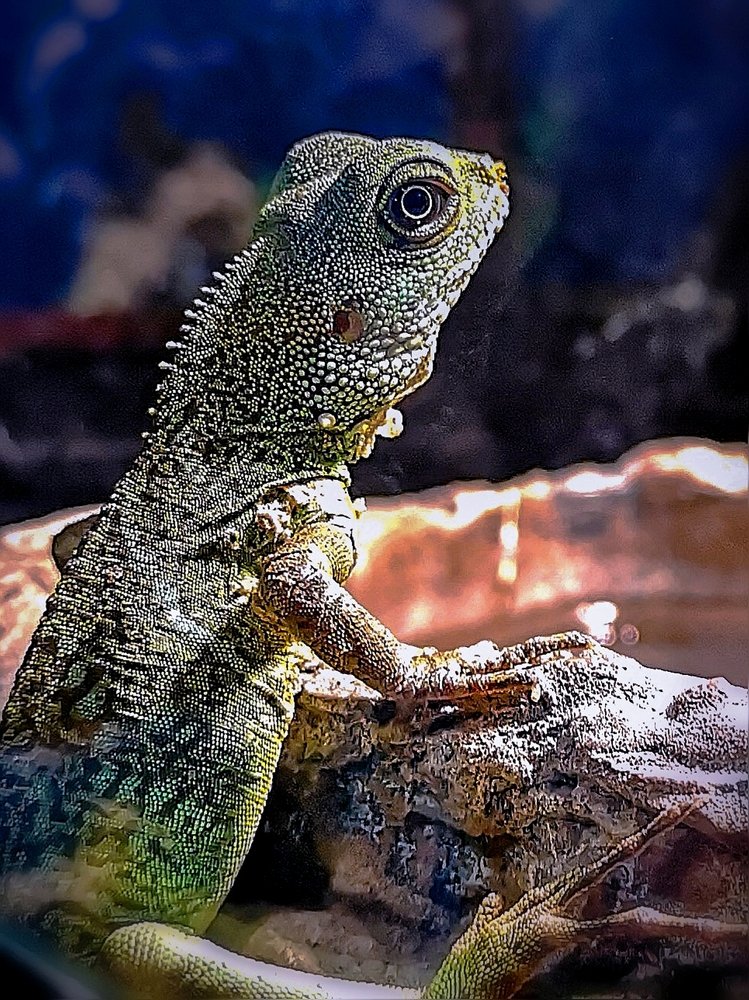 А в прениях выступил...Гена-младший...