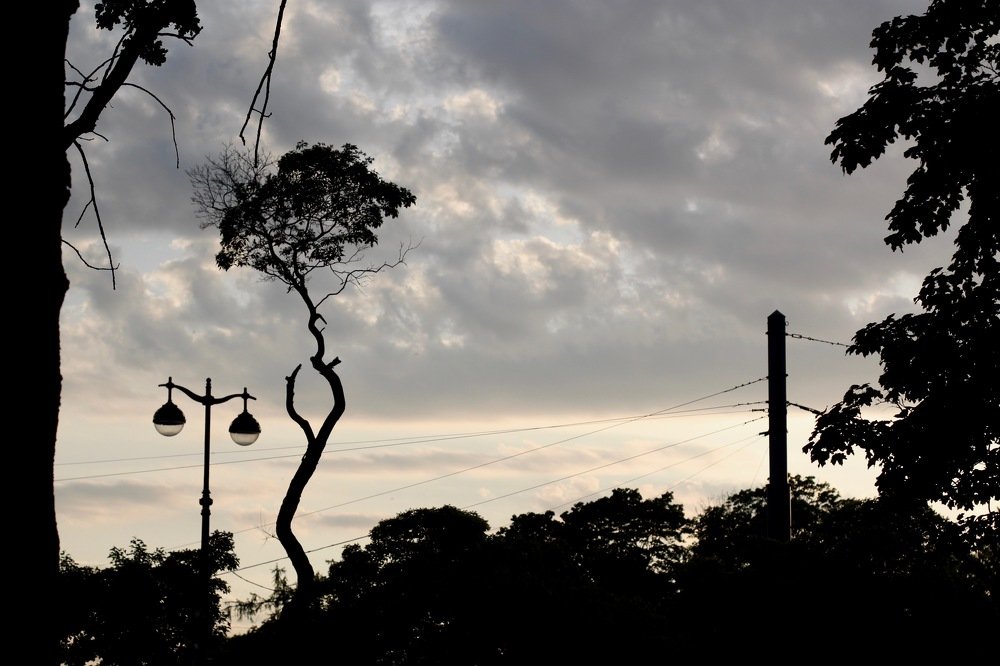 Saint Peterburg. Evening.