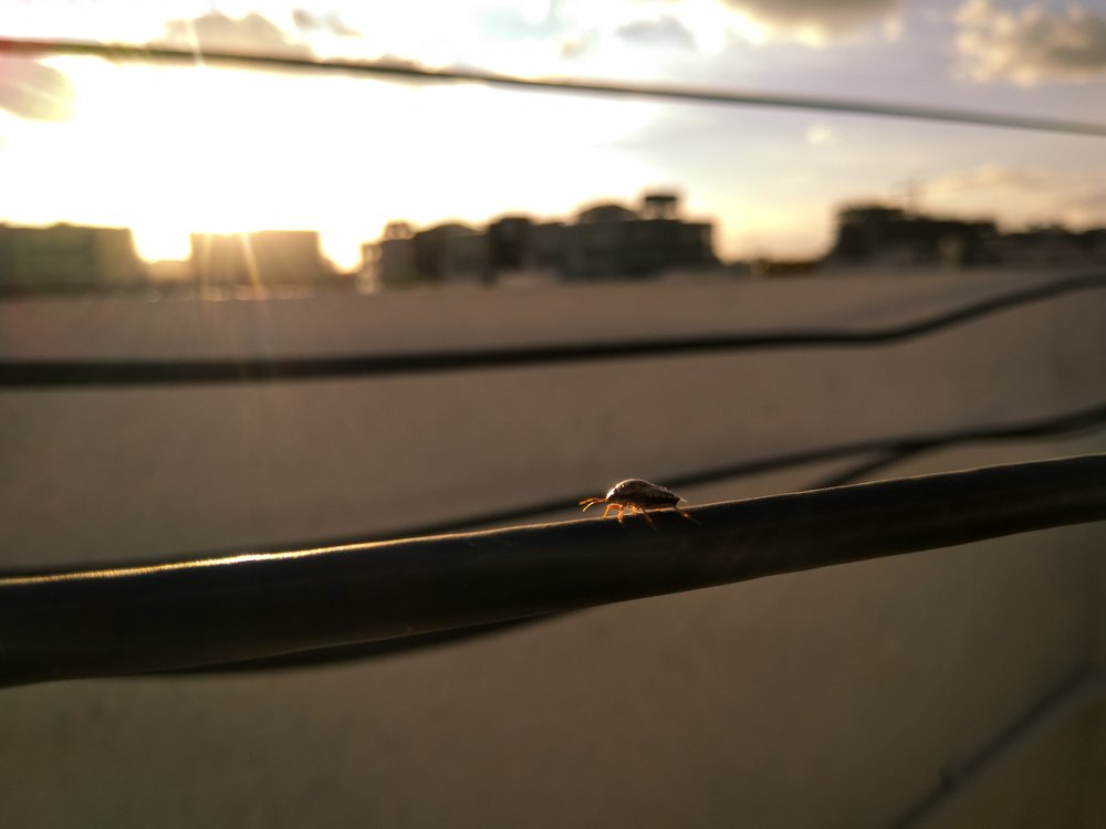 Balancing