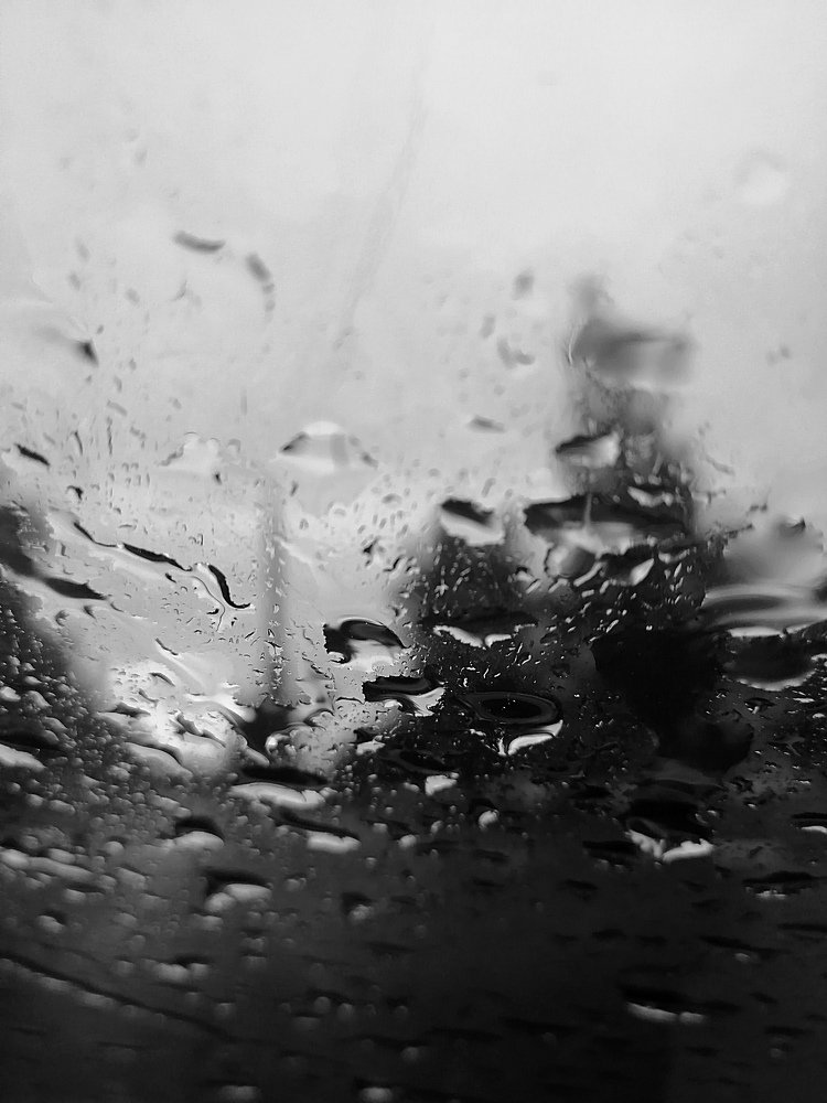 За пеленой дождя