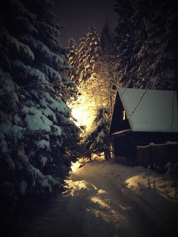 Winter night