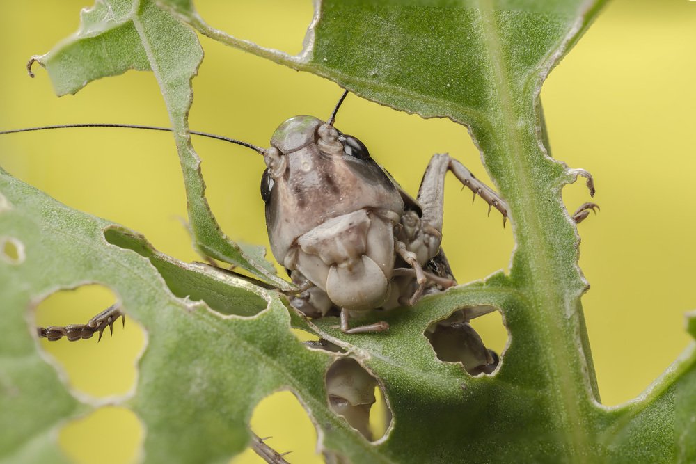 Требую продолжения банкета