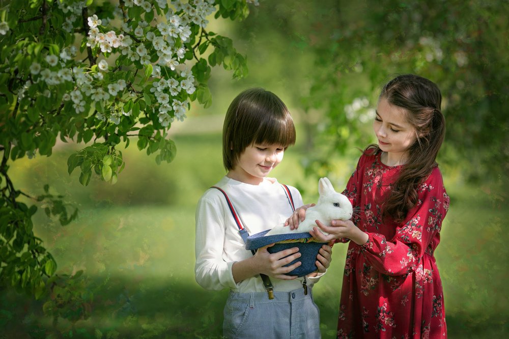 Солнечные зайчики