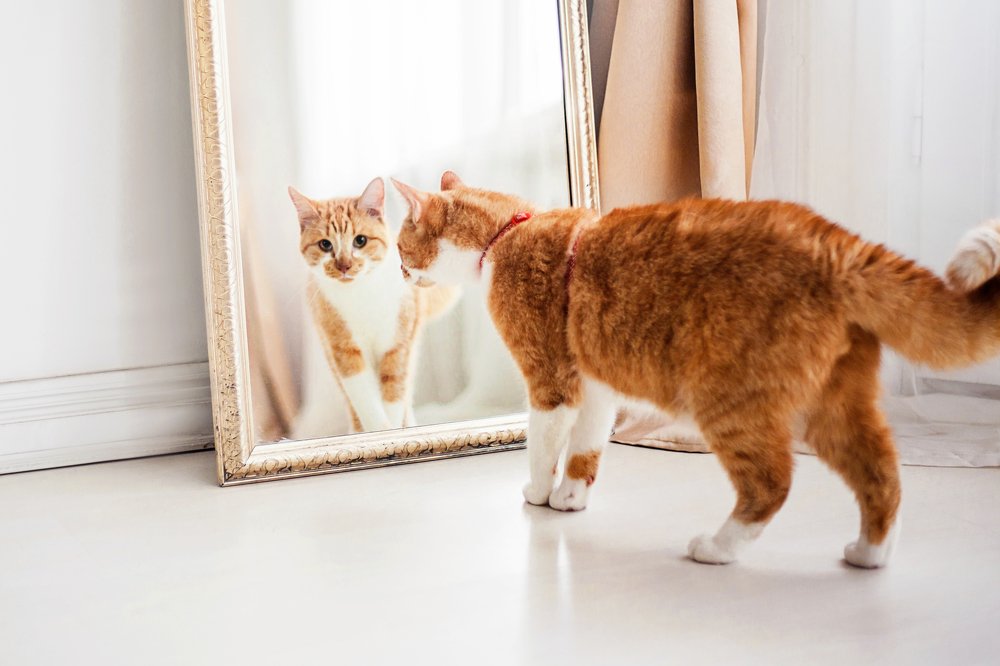 Photograph by Marina Moreva