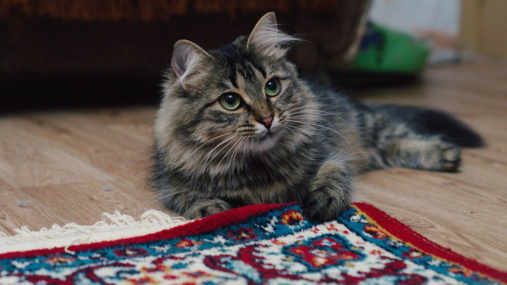 Photograph by Михаил Кудрявцев