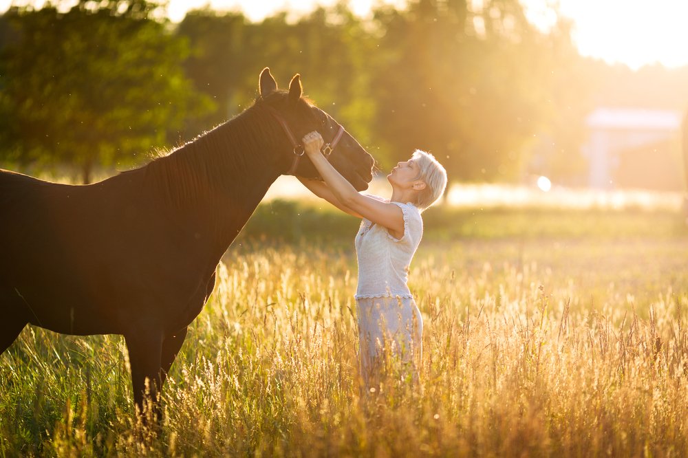 Закат с вороной