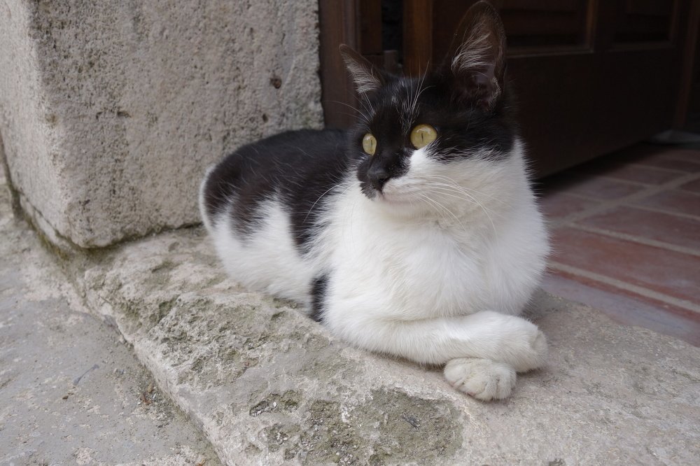 Photograph by Наталия Маслова