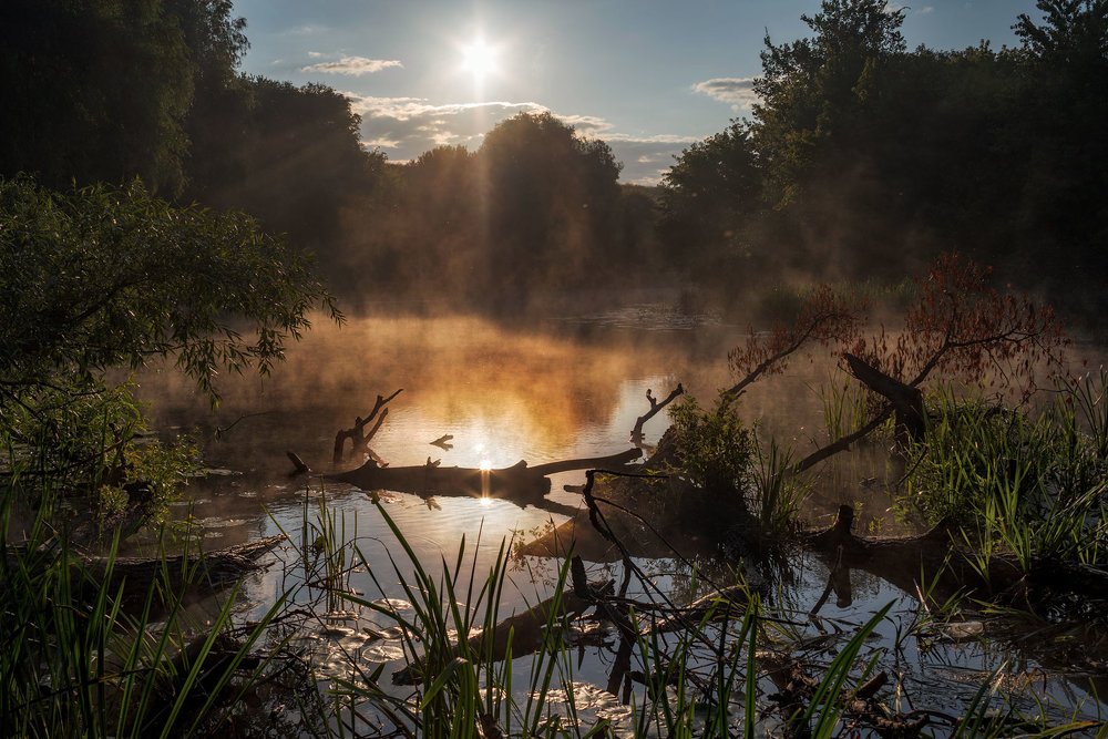 Фотография автора Юрий Юрьев