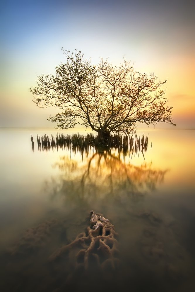 Sunset on Ujung Piring beach, Java, Indonesia