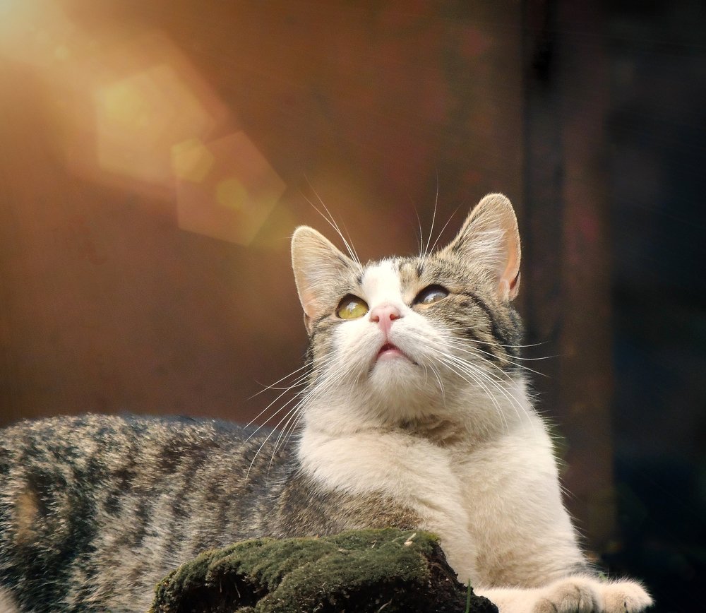 Доброе утро!