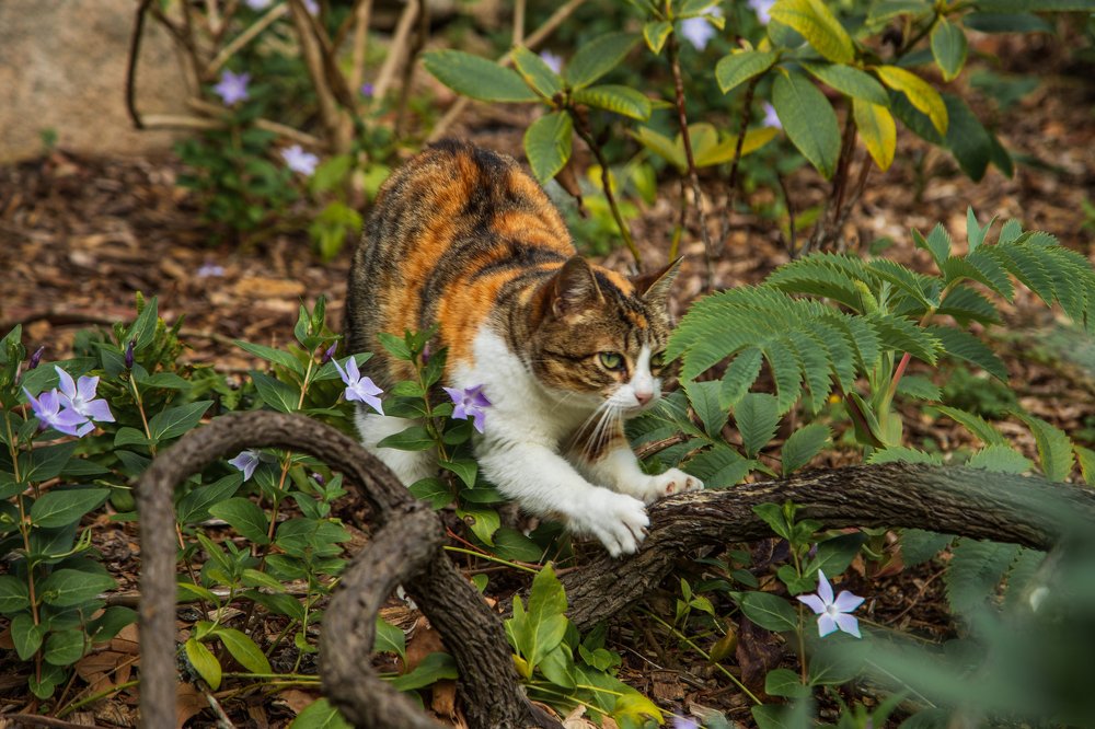 Любопытство требует жертв))