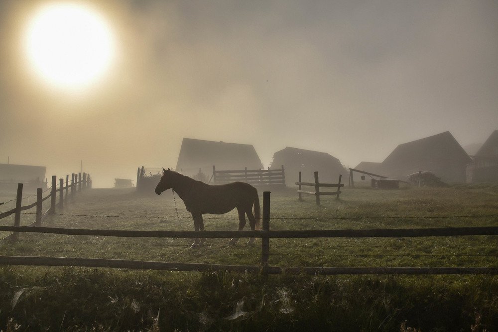 Туманный восход в закарпатском селе