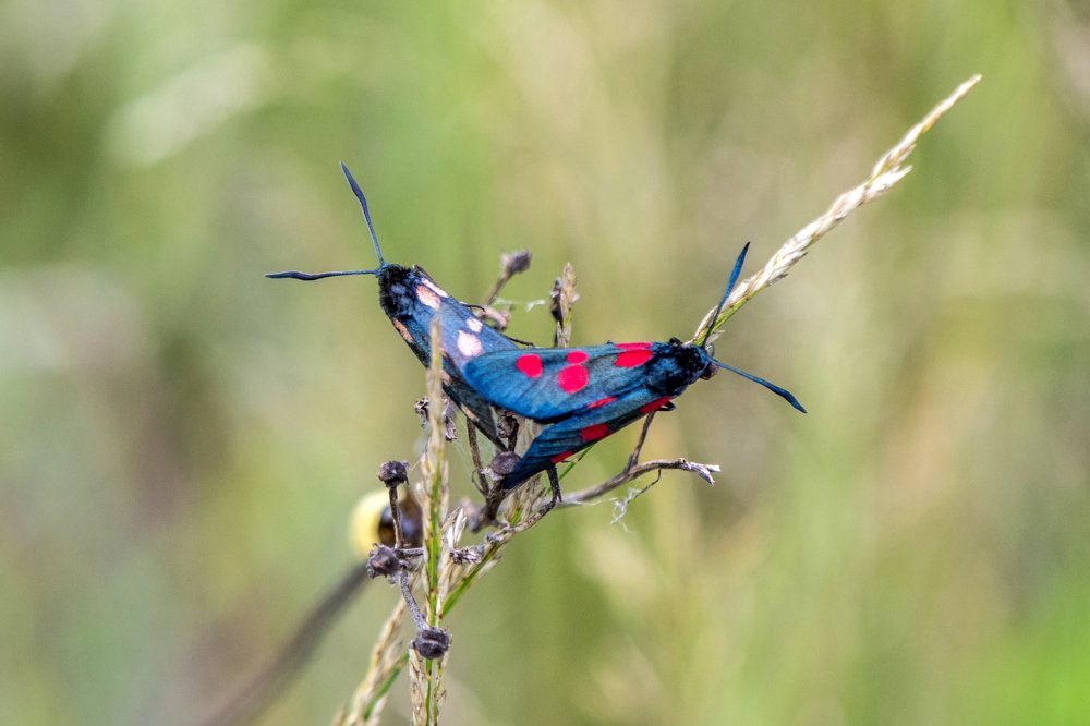 Photograph by Татьяна