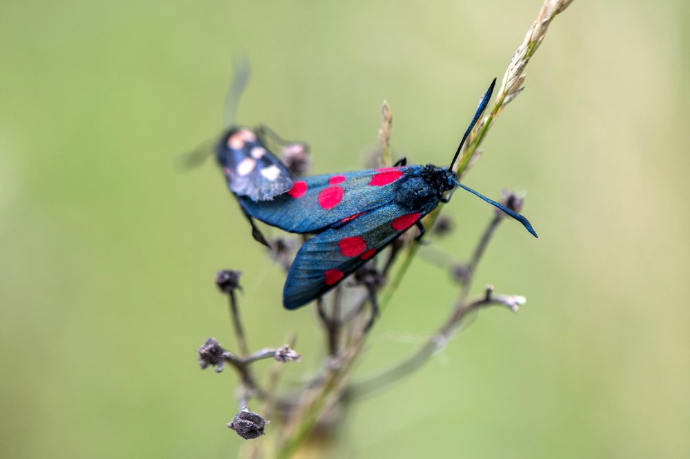 Photograph by Татьяна