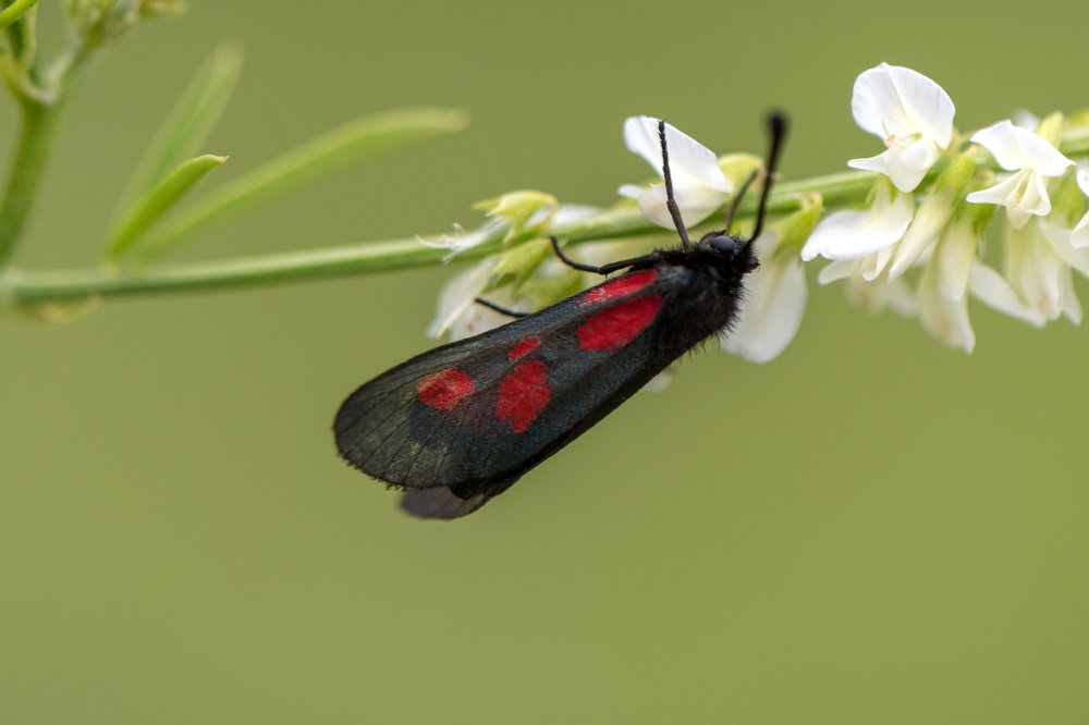 Photograph by Татьяна