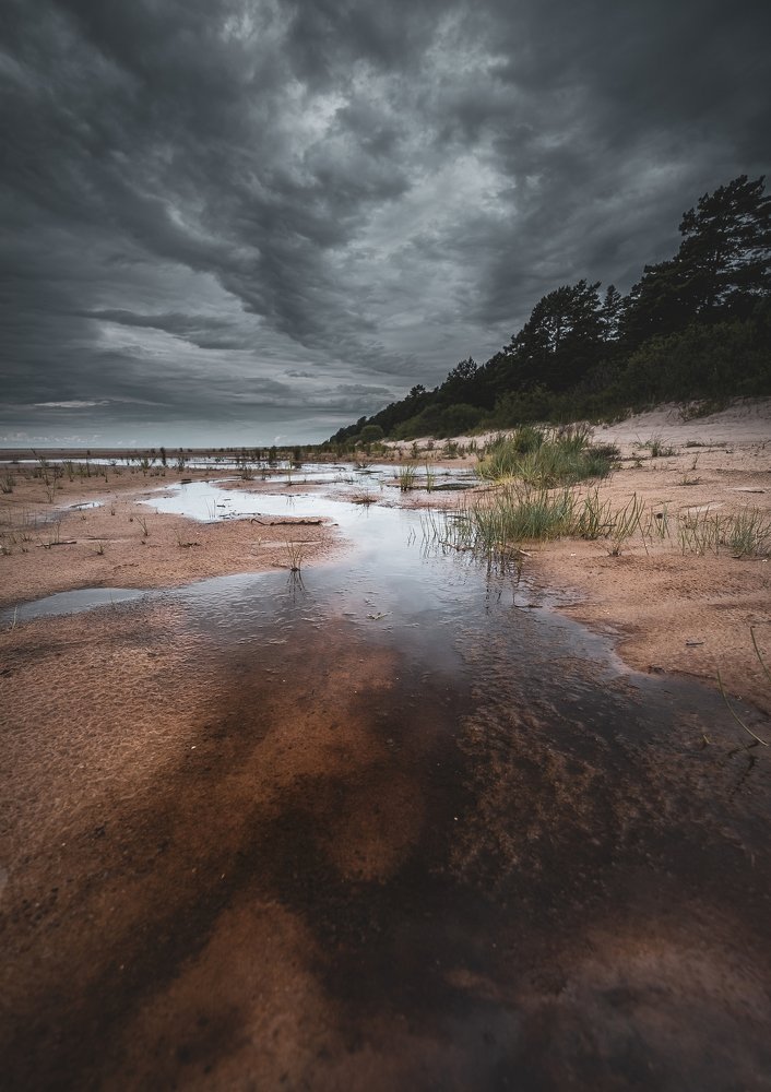 Пасмурный день