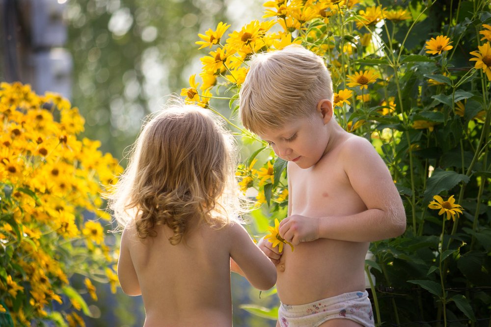 Желтое лето