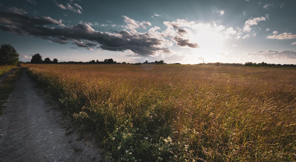 Родные поля