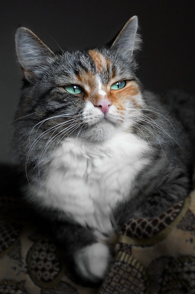 Никуда не спешу, после вкусного обеда.