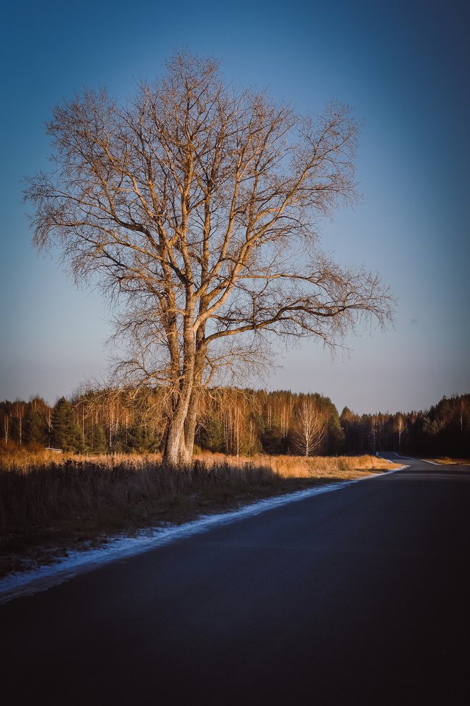 Вперед по жизни!