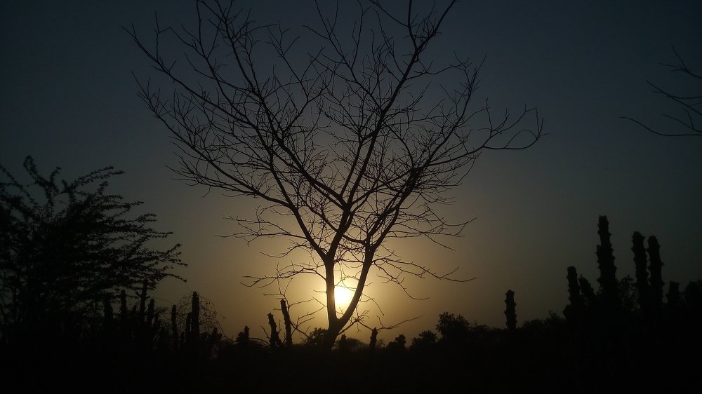 Photograph by Bhautik Lakhani