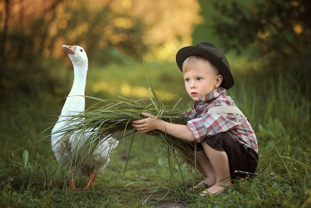 Photograph by Галина Уткина