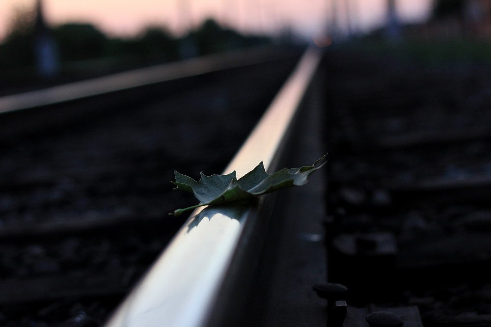 Фотография автора Анатолий Мироненко