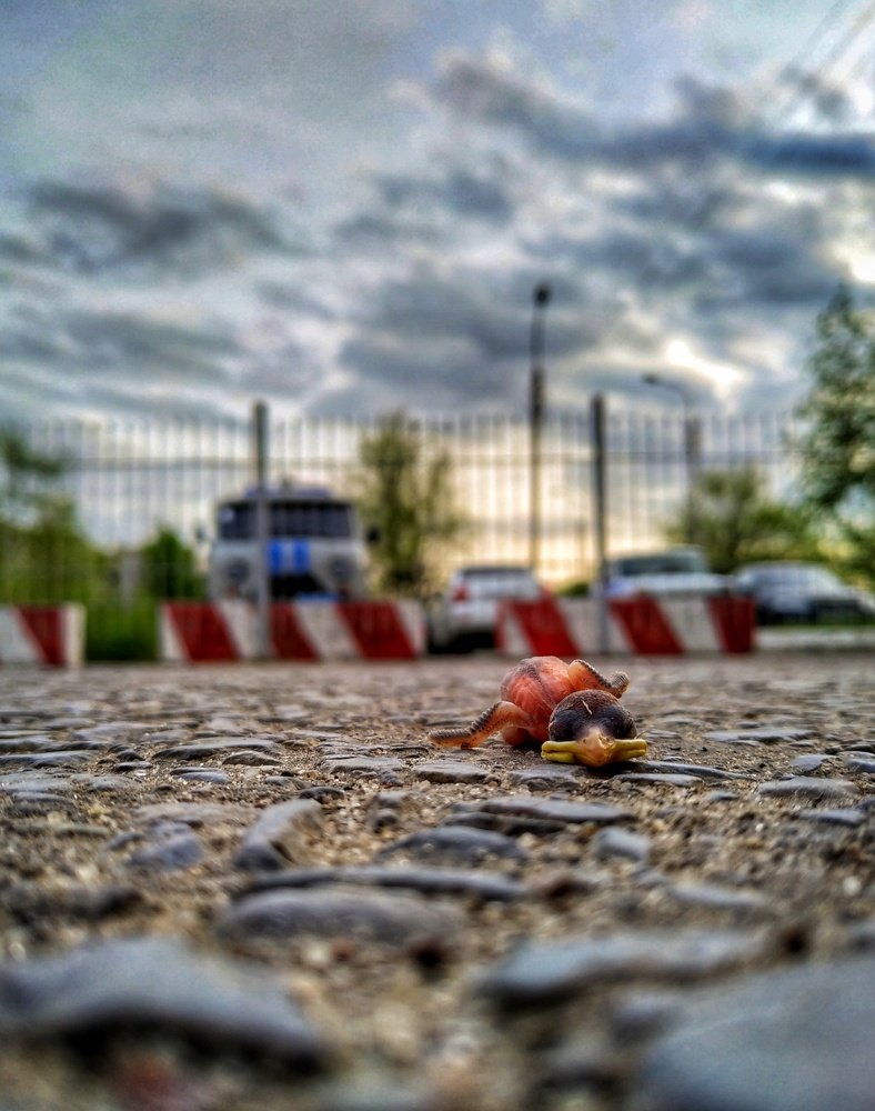 Жизнь...