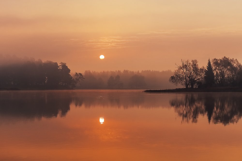 Фотография автора Татьяна Афиногенова