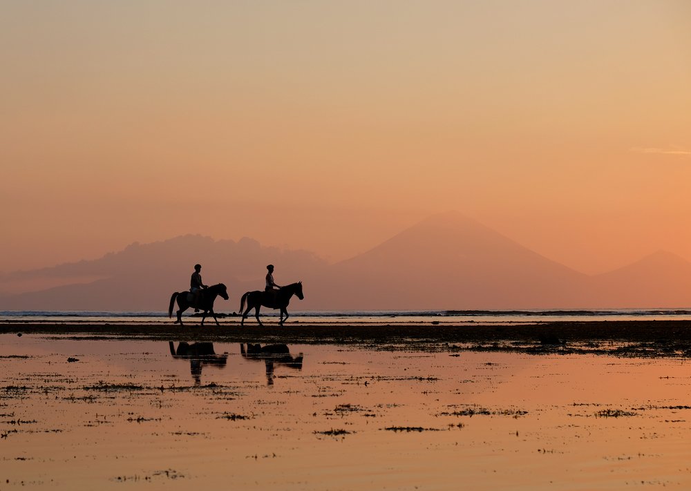 Golden Sunset Romanticism