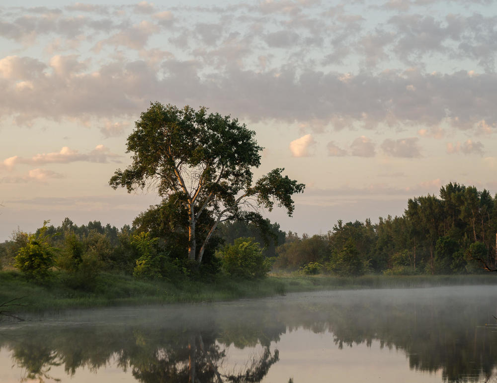 Подпирая облака