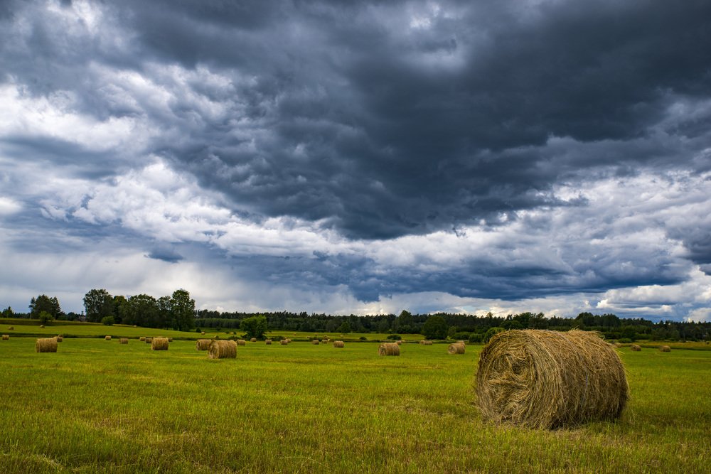 Photograph by Игорь Архипов