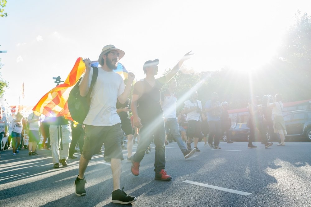 Несогласные