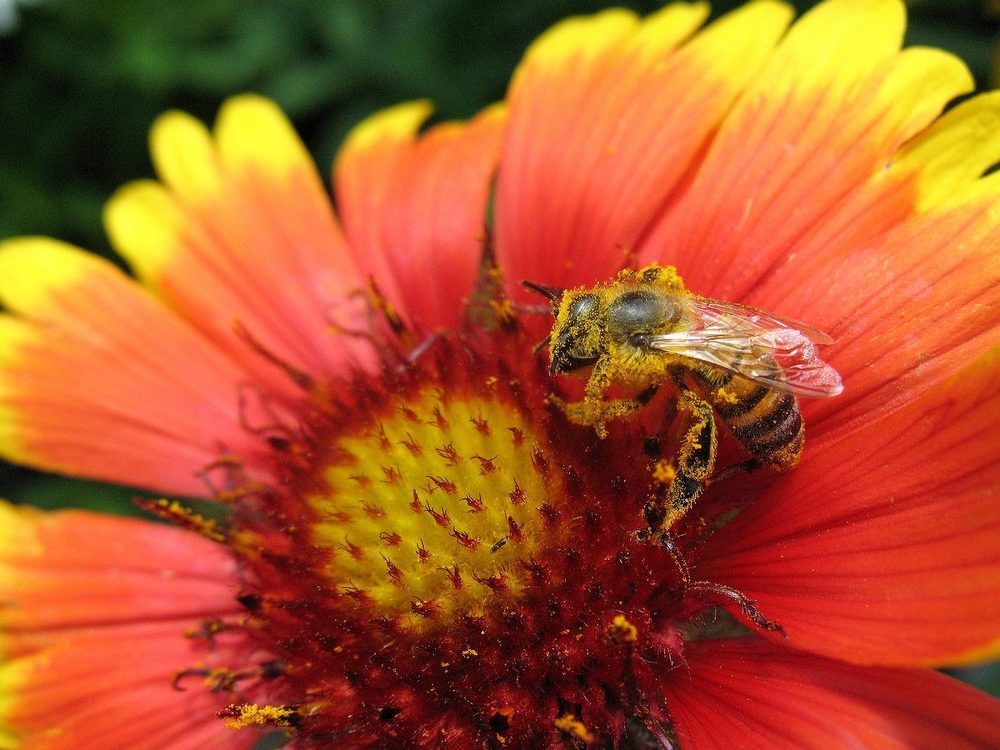 Photograph by Елена Лапина