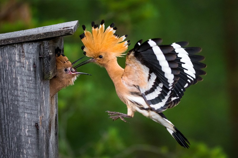 Photograph by Дмитрий Вилюнов