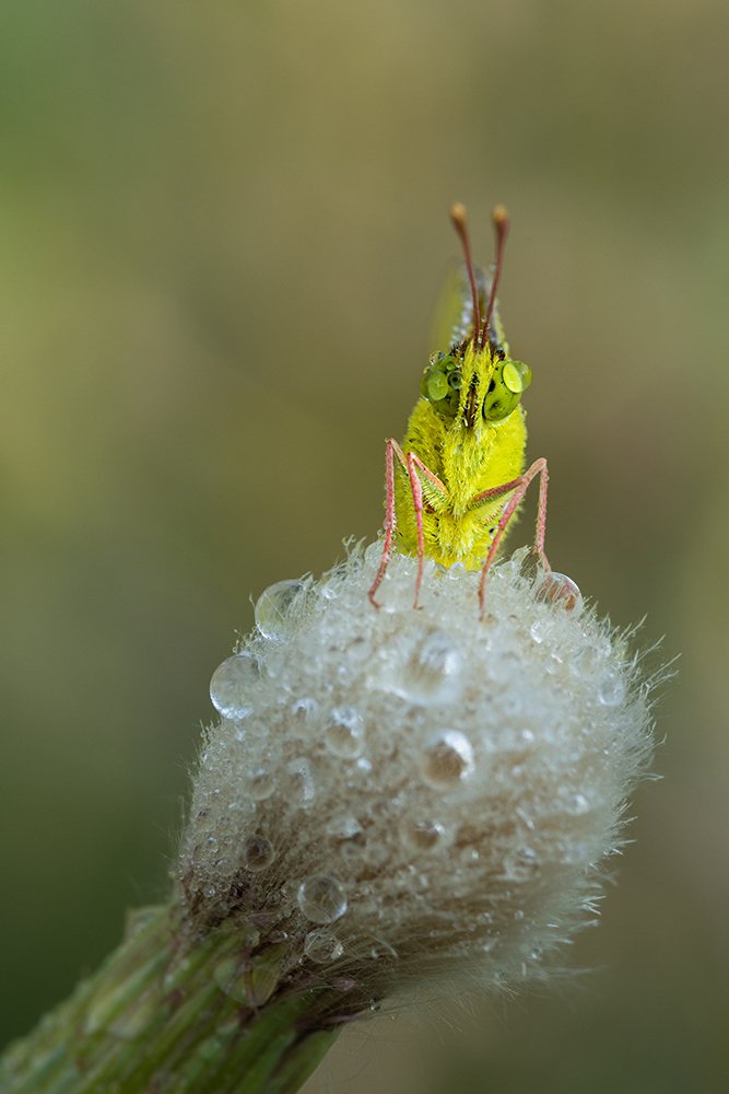 Photograph by Vahid Setoodeh