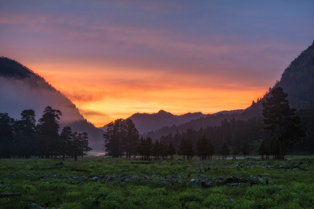 Photograph by Елена Ковалева