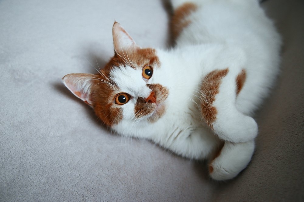 Photograph by Natalya Chumak