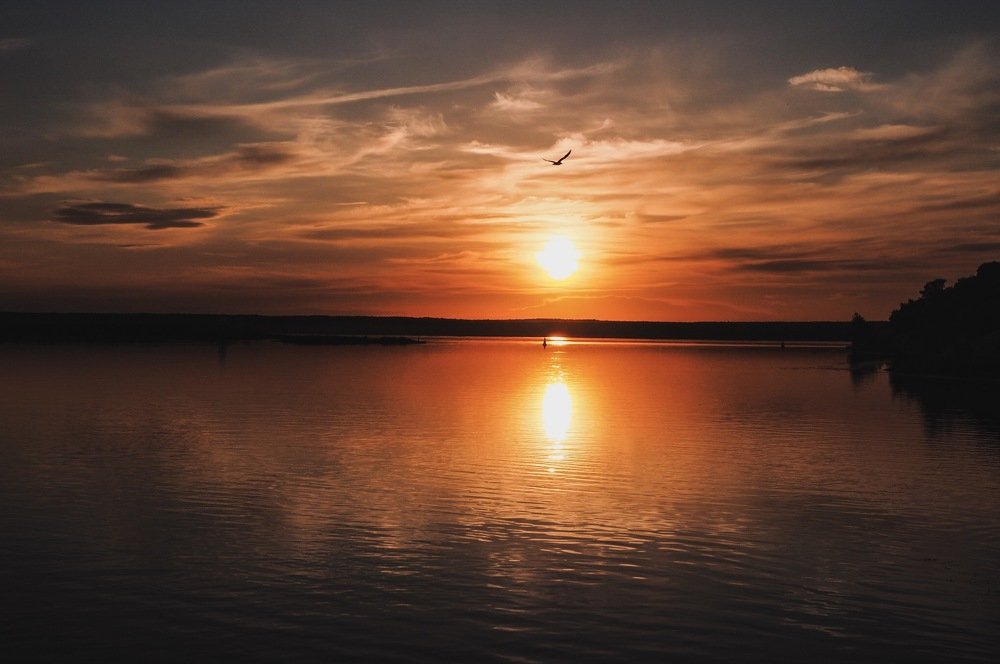 Photograph by Мария Романова