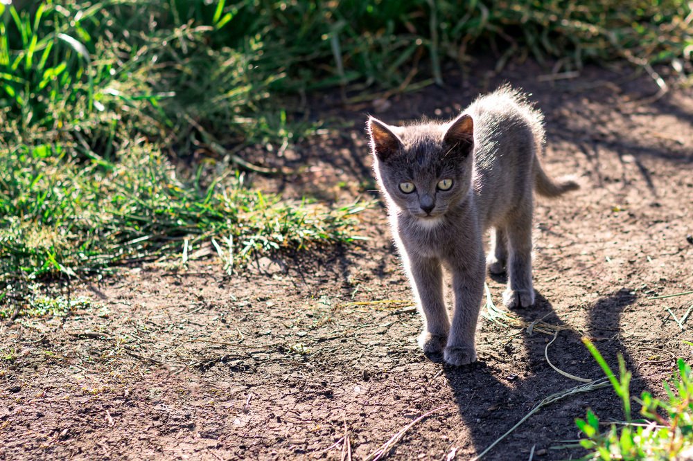 Photograph by Анастасия Герасимова