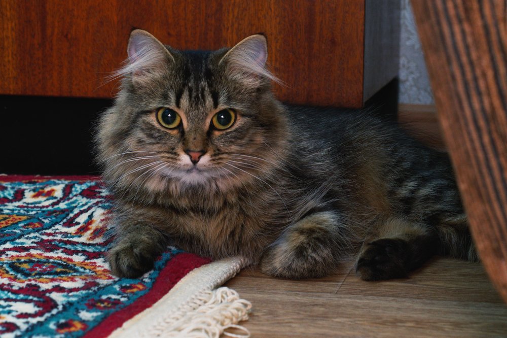 Photograph by Михаил Кудрявцев