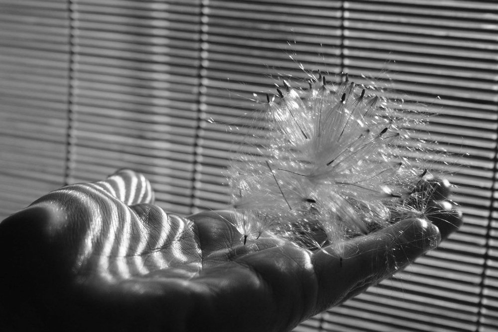 "Эндорфины_4"