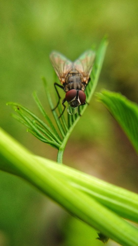 Photograph by Ayie Andri Nur