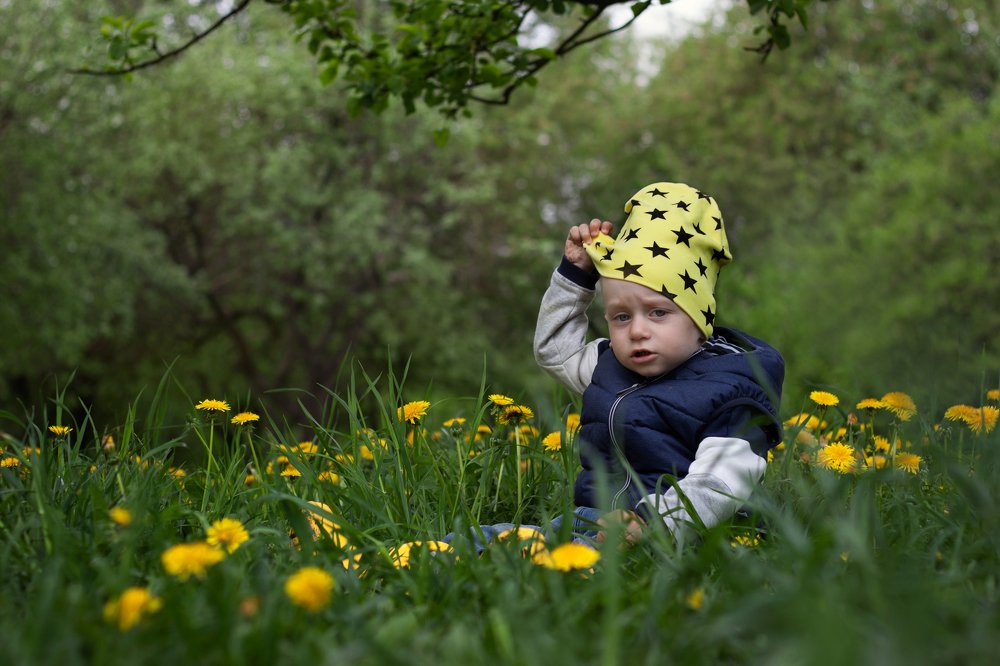 «Лето же...»